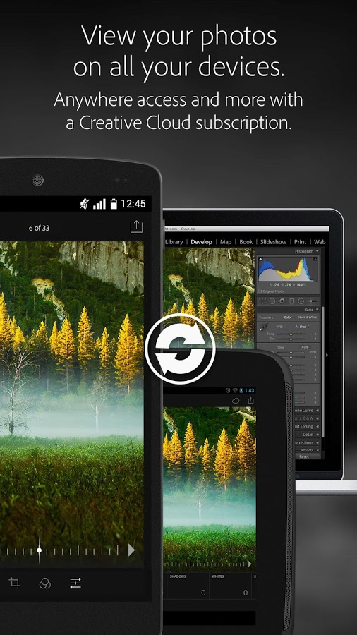 http://static.download-vn.com/com.adobe_.lrmobile.jpg