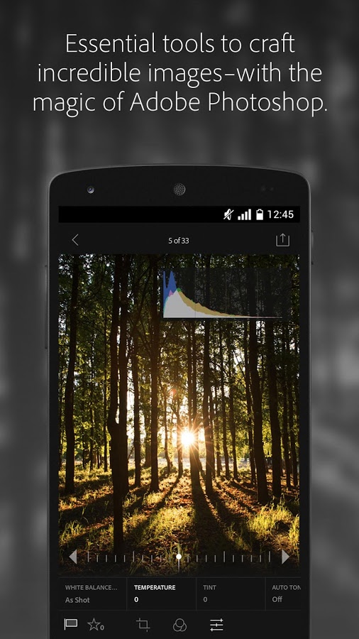 http://static.download-vn.com/com.adobe_.lrmobile1.jpg