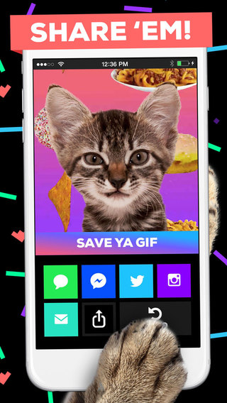 http://static.download-vn.com/giphy-cam.-the-gif-camera2.jpeg