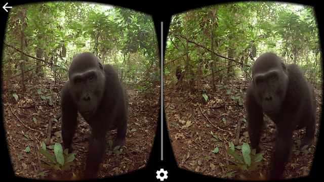 http://static.download-vn.com/google-cardboard-1-3.jpeg
