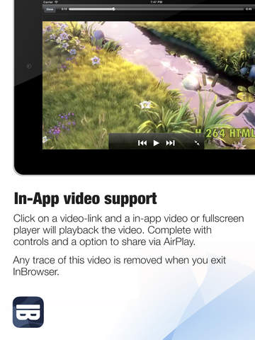 http://static.download-vn.com/inbrowser-private-browsing9.jpeg