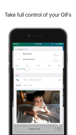 http://static.download-vn.com/lively-export-live-photo-to-1-2.jpeg