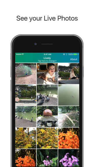 http://static.download-vn.com/lively-export-live-photo-to-1.jpeg