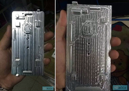 molds1-800x561-9635-1464144103