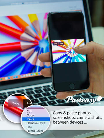 http://static.download-vn.com/pasteasy-4.jpeg