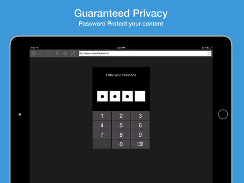 http://static.download-vn.com/private-browser-free4.jpeg
