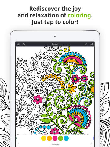 http://static.download-vn.com/recolor-coloring-book-for5.jpeg