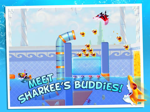 http://static.download-vn.com/shark-dash-6.jpeg