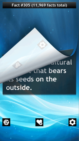 https://static.download-vn.com/10-500-cool-facts1.jpeg