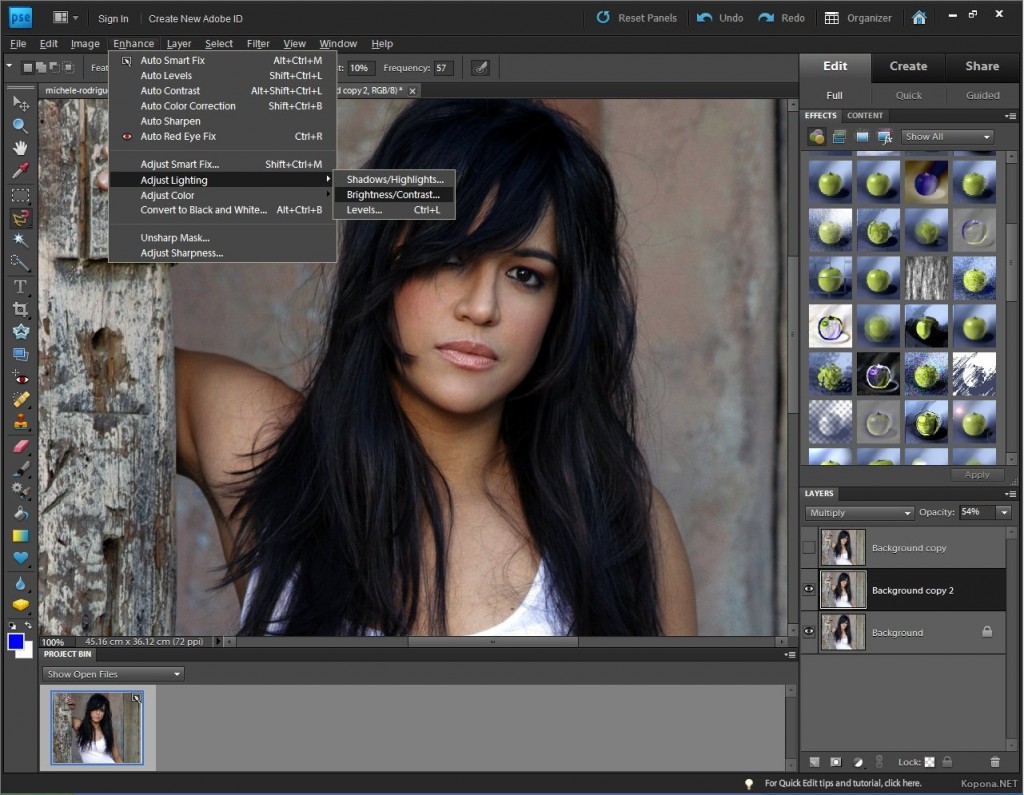 1285270748_adobe_photoshop_elements_9_interface2