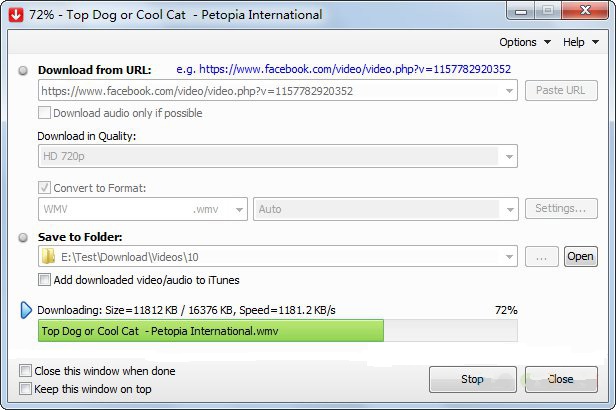 FLV-Downloader-1