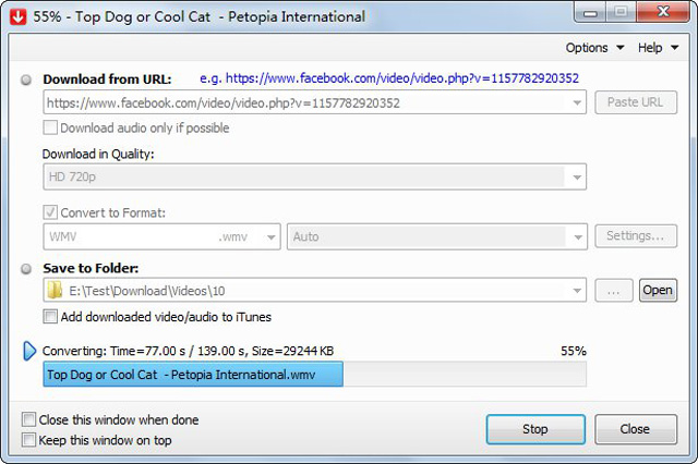 FLV-Downloader-2