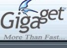 Download Gigaget