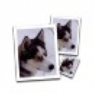 Download SmillaEnlarger