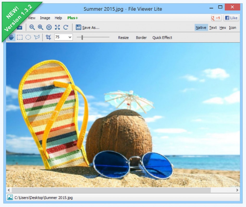 file_viewer_lite_132