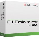 Download FILEminimizer PDF