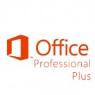 Microsoft Office Professional Plus 2013
