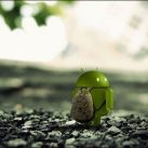 Google phát triển hệ điều hành mới thay thế Android