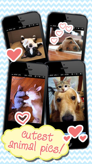 https://static.download-vn.com/2cute-11.jpeg