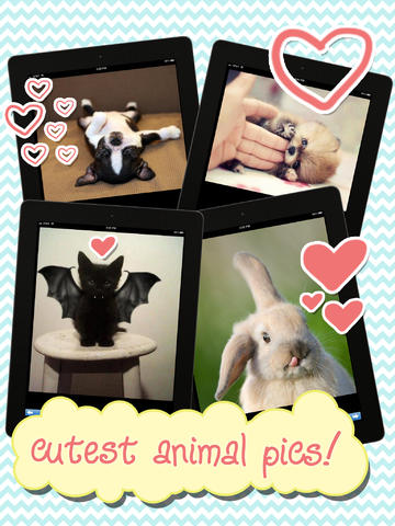 https://static.download-vn.com/2cute-14.jpeg