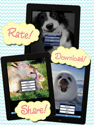 https://static.download-vn.com/2cute-15.jpeg