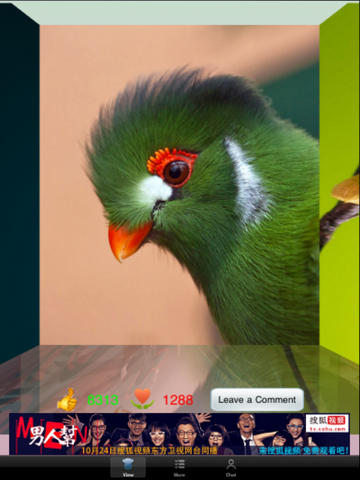 https://static.download-vn.com/30000-wallpapers-photos-optimization-17.jpeg