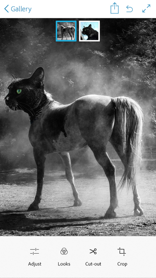 https://static.download-vn.com/adobe-photoshop-mix-edit-cut-13.jpeg