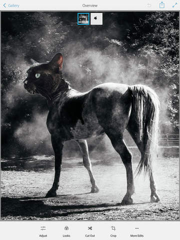 https://static.download-vn.com/adobe-photoshop-mix-edit-cut-17.jpeg