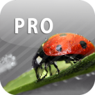 ColorUp – Photo Editor
