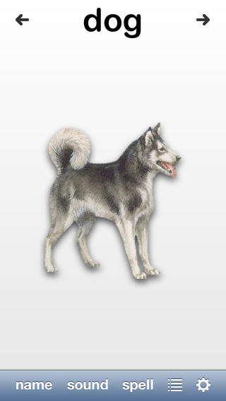 https://static.download-vn.com/animal-fun1.jpeg