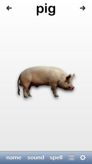 https://static.download-vn.com/animal-fun2.jpeg