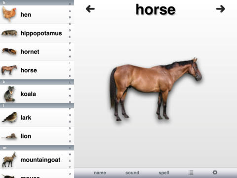 https://static.download-vn.com/animal-fun5.jpeg