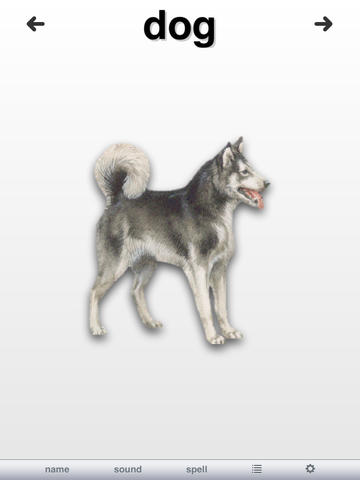 https://static.download-vn.com/animal-fun6.jpeg