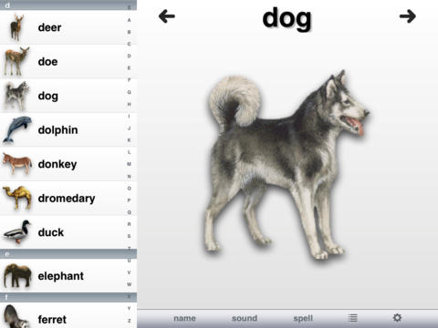https://static.download-vn.com/animal-fun7.jpeg