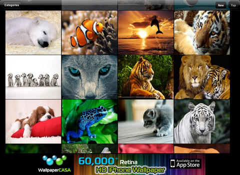 https://static.download-vn.com/animalpix-hd-ipad-version.jpeg
