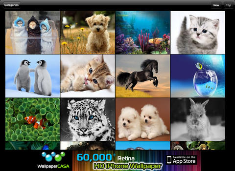 https://static.download-vn.com/animalpix-hd-ipad-version1.jpeg