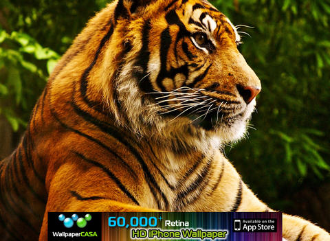 https://static.download-vn.com/animalpix-hd-ipad-version3.jpeg