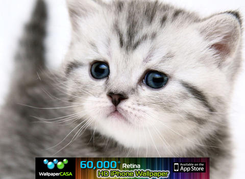 https://static.download-vn.com/animalpix-hd-ipad-version4.jpeg
