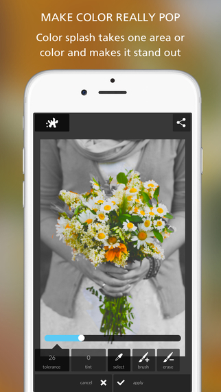 https://static.download-vn.com/autodesk-pixlr-photo-editor-12.jpeg