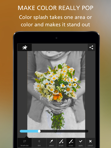 https://static.download-vn.com/autodesk-pixlr-photo-editor-17.jpeg