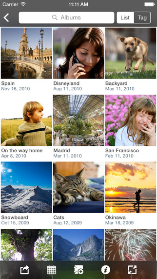 https://static.download-vn.com/best-album-web-albums-manager-1.jpeg