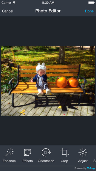 https://static.download-vn.com/best-album-web-albums-manager-13.jpeg