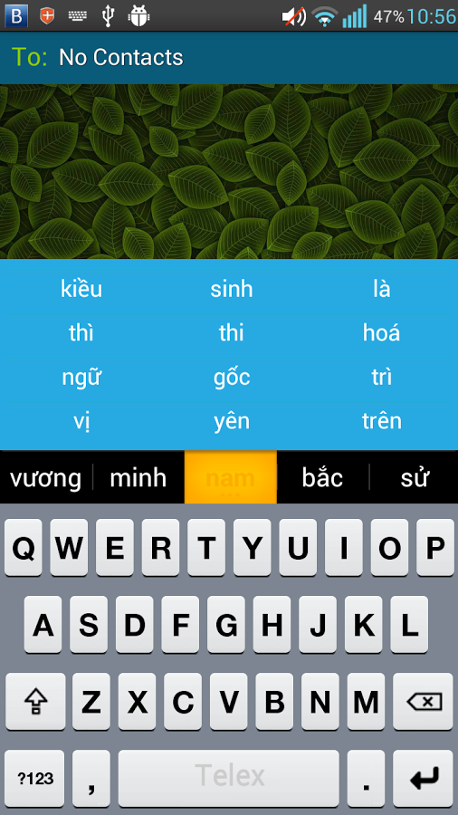 https://static.download-vn.com/bkav.android.inputmethod.gtv_4.png