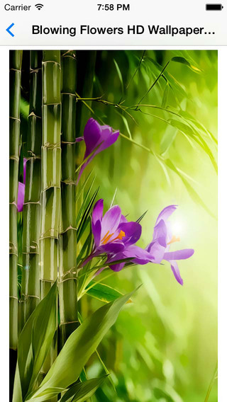 https://static.download-vn.com/blowing-flowers-hd-wallpaper-1.jpeg