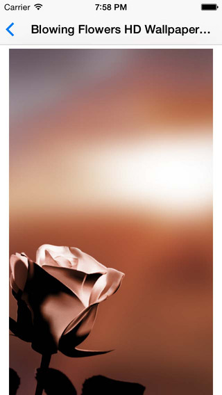 https://static.download-vn.com/blowing-flowers-hd-wallpaper-11.jpeg