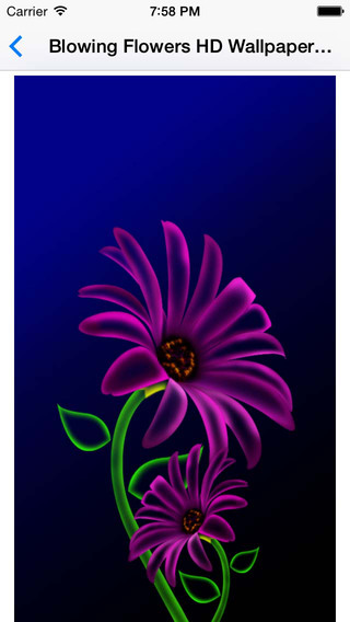 https://static.download-vn.com/blowing-flowers-hd-wallpaper-13.jpeg