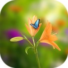 Download Blowing Flowers HD wallpaper for whatsapp