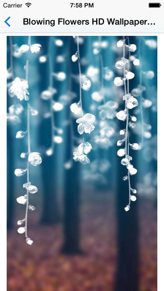 https://static.download-vn.com/blowing-flowers-hd-wallpaper-14.jpeg