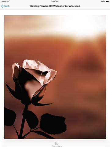 https://static.download-vn.com/blowing-flowers-hd-wallpaper-15.jpeg