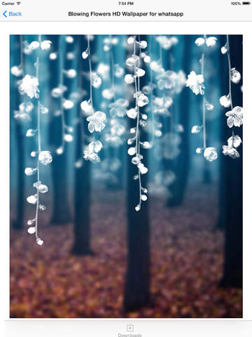 https://static.download-vn.com/blowing-flowers-hd-wallpaper-16.jpeg
